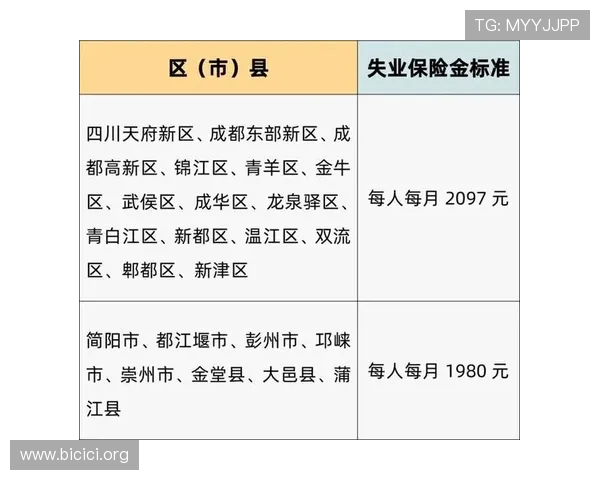 快速找到pg娱乐线上官方入口的实用方法及安全保障措施